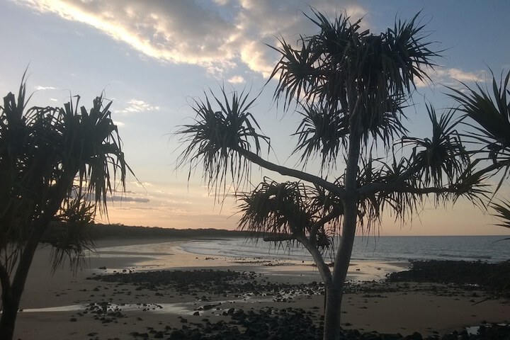 Beach 47 of 51