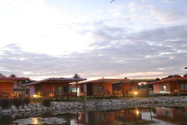 General 2 of 7