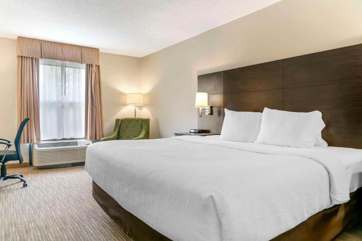 1 King Bed (3 of 22)