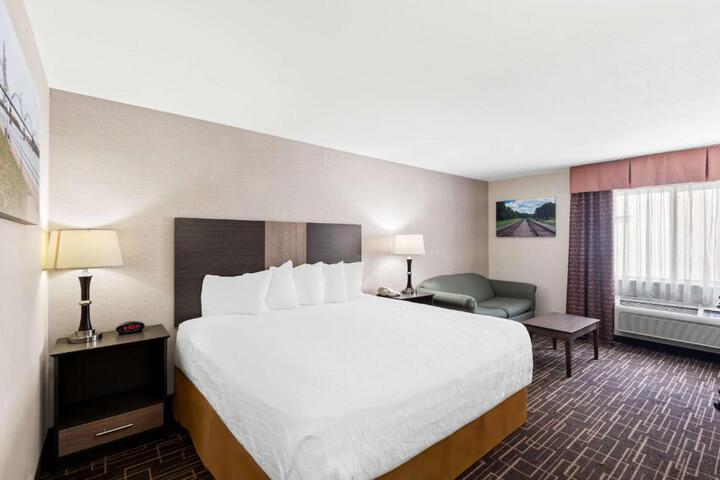 1 King Bed Deluxe Room High Speed Internet Accessible Sofa Bed Microwave and Refrigerator Fu (2 of 14)
