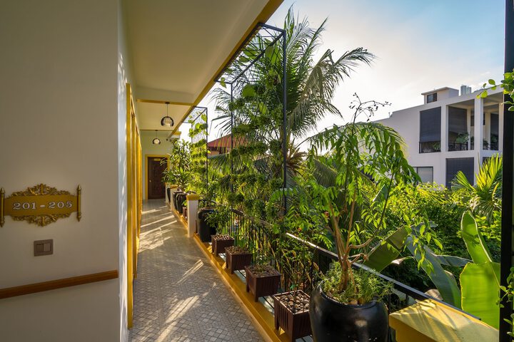 Terrace/Patio 58 of 60