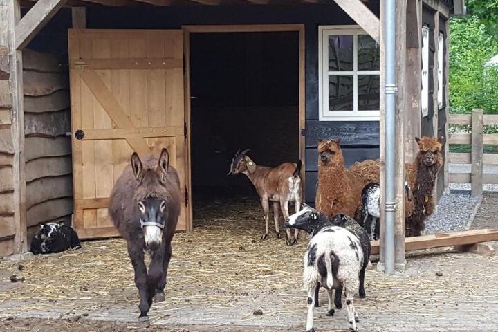 General 27 of 29