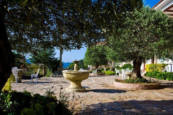 Spa and Wellness Pictures