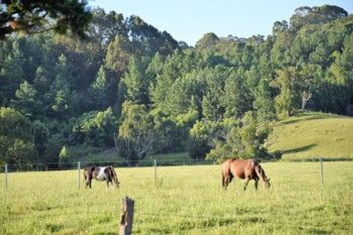 Property Grounds 17 of 20