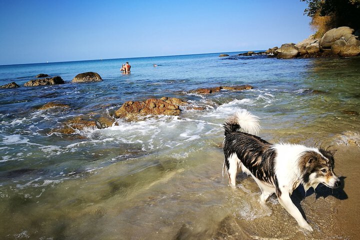Beach 80 of 112