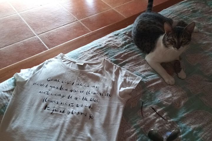 Pet Friendly 38 of 61