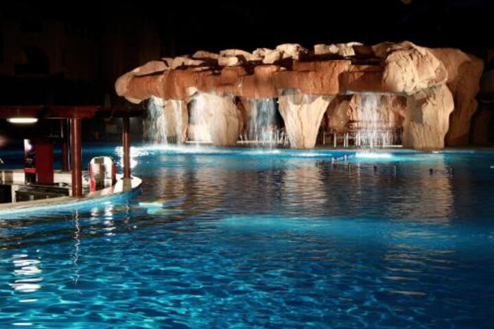 Pool 30 of 69