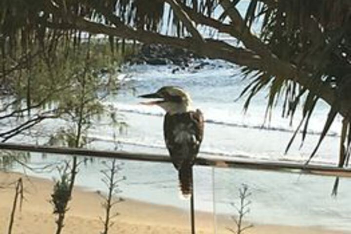 Terrace/Patio 91 of 97