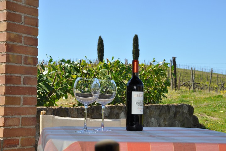 Castello di Selvole-Adults Only in Radda in Chianti