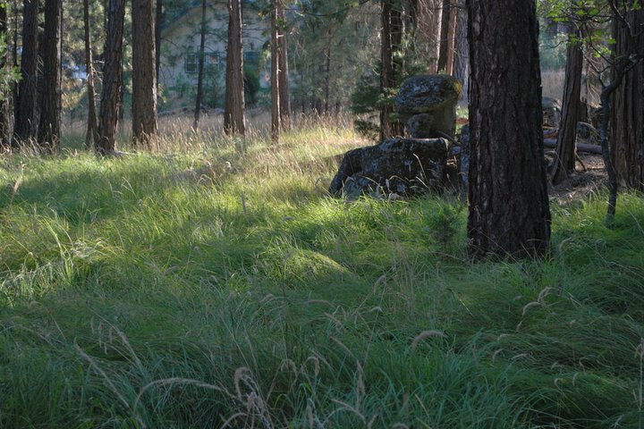 General 11 of 21