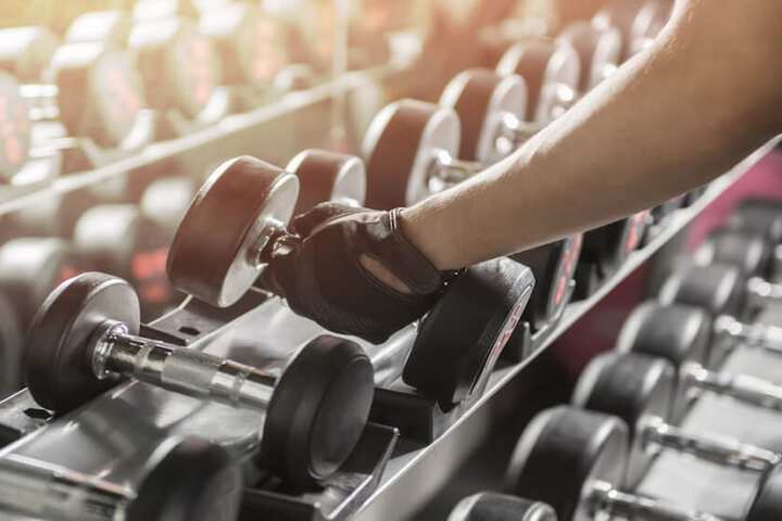 Gym & Fitness