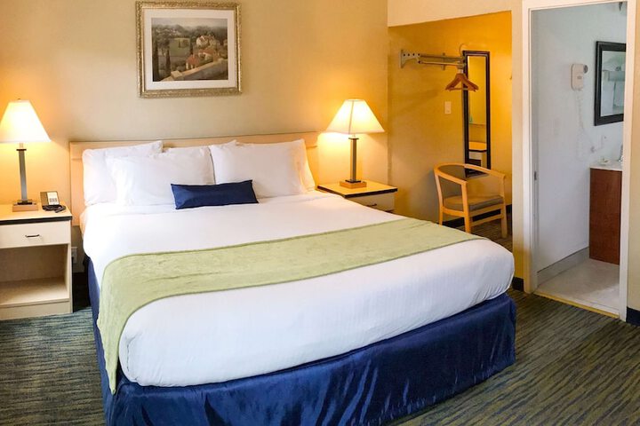 1 King Bed (3 of 5)