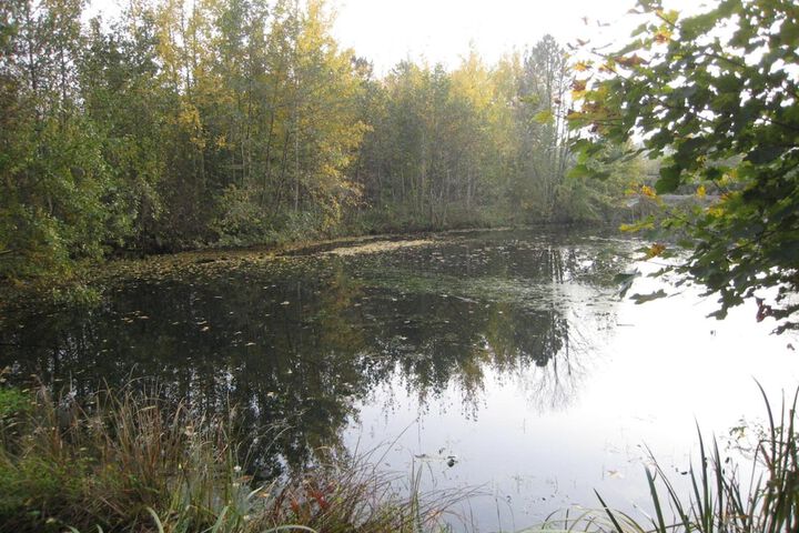 Property Grounds 50 of 51