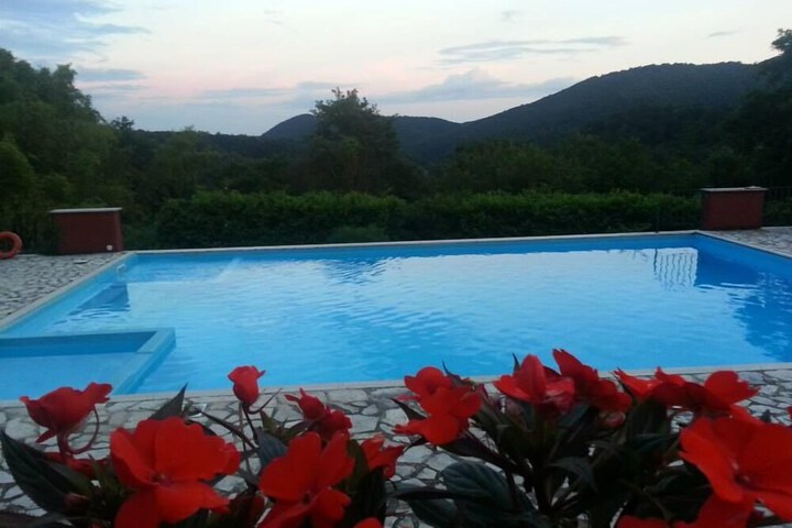 Pool 16 of 47