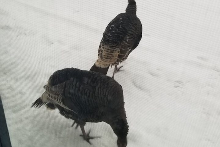 Hotel Exterior 35 of 44