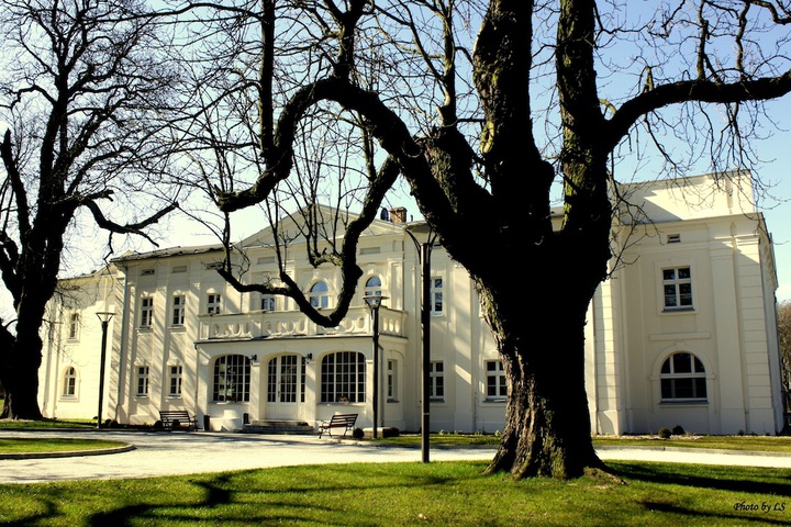 Kasztanowy Pałac in Tarnowo Podgorne