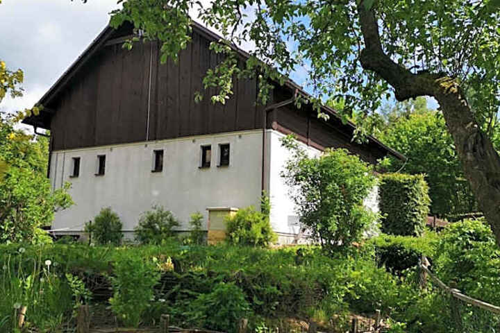 Photo 19