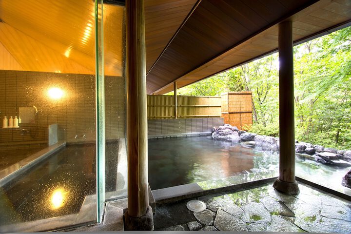 Wellness Treatments