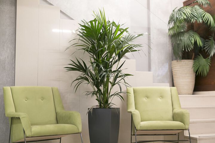 Lobby Photos