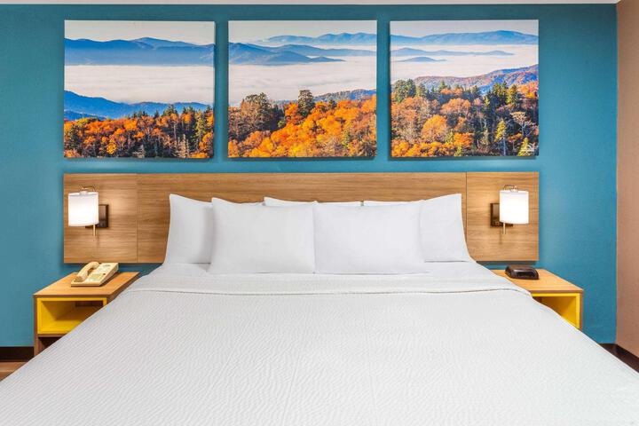 1 King Bed (4 of 9)