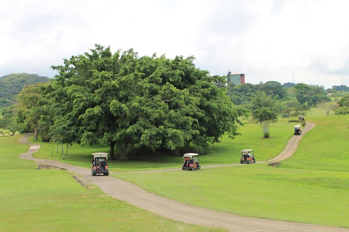 Golf 102 of 230