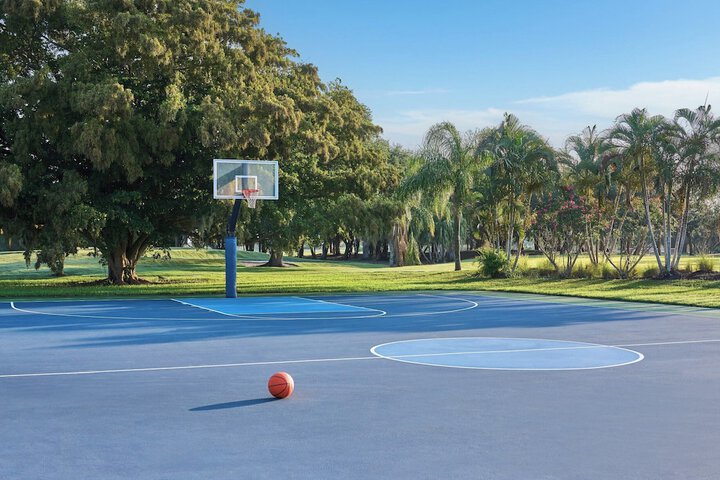 Basketball court
