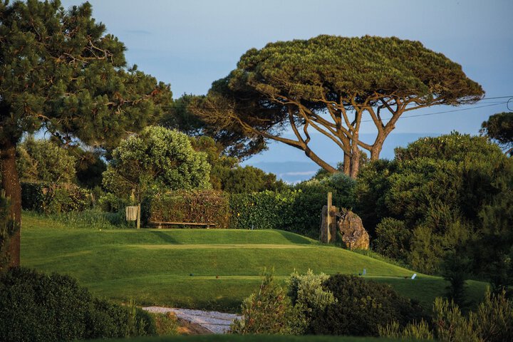 Golf 139 of 220