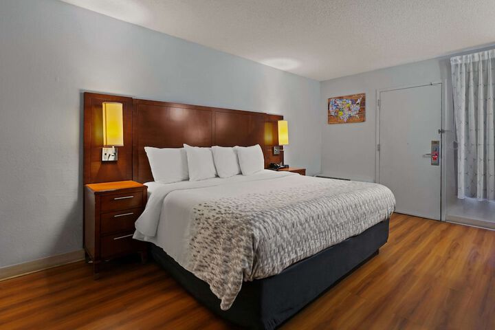 1 King Bed (3 of 16)