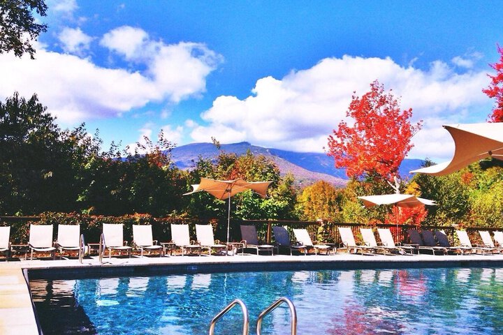 Pool 15 of 23