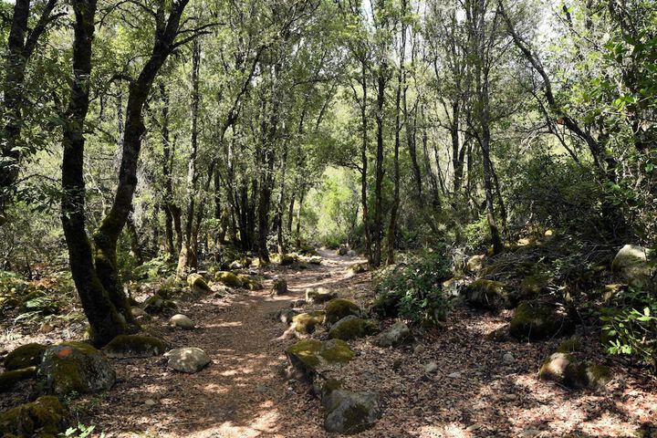 Hiking