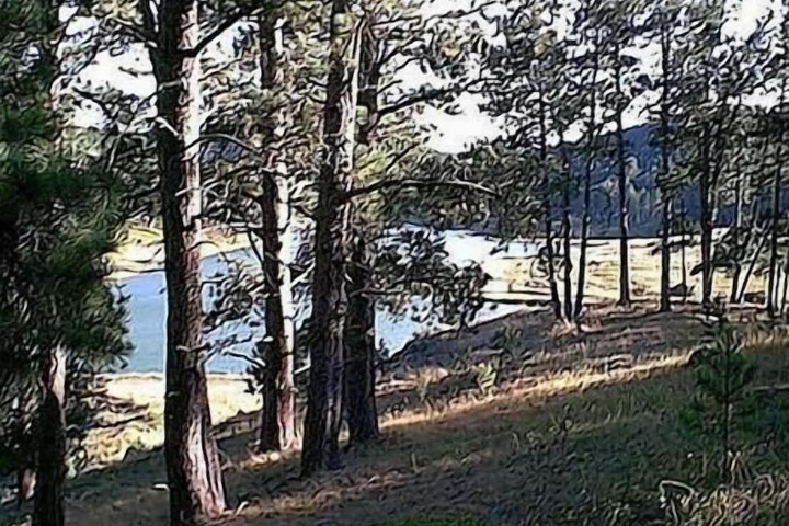 Property Grounds 17 of 21