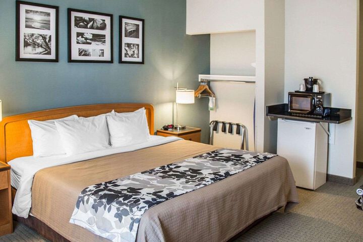 1 King Bed (6 of 14)