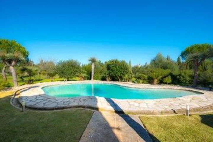 Pool 15 of 28