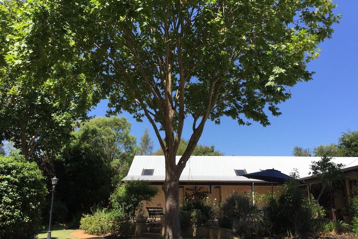 Property Grounds 19 of 25