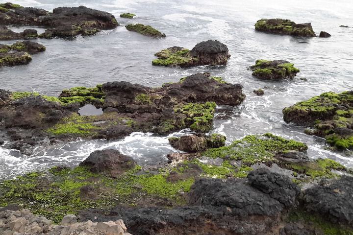 Beach 44 of 63