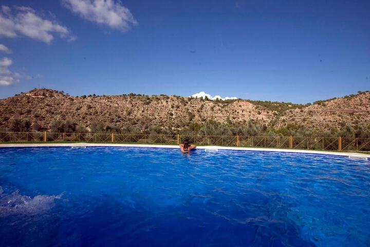 Pool 24 of 56