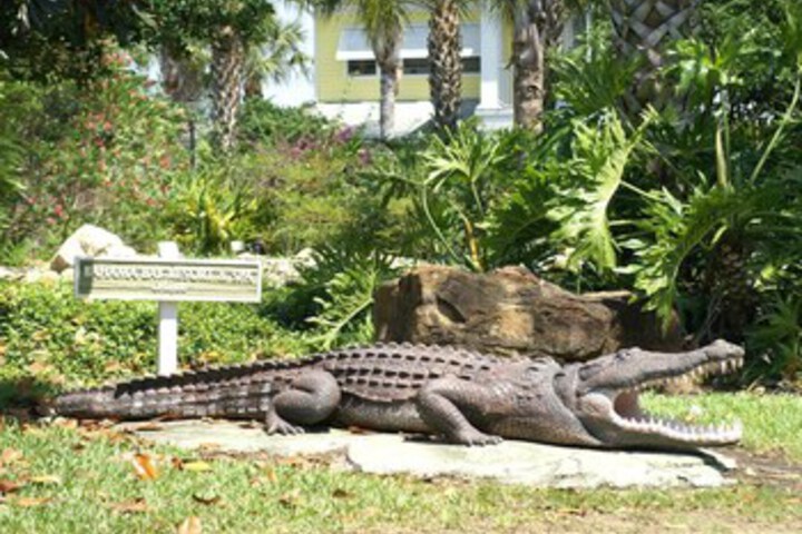 Property Grounds 36 of 46