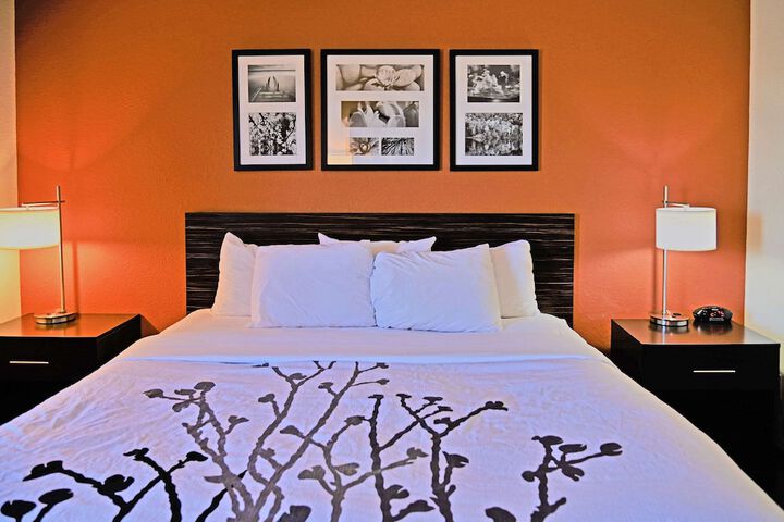 Queen Bed Accessible (4 of 12)