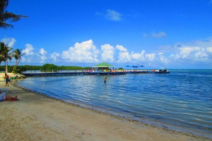 Beach 54 of 65