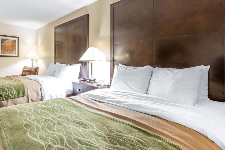 2 Double Beds (1 of 6)