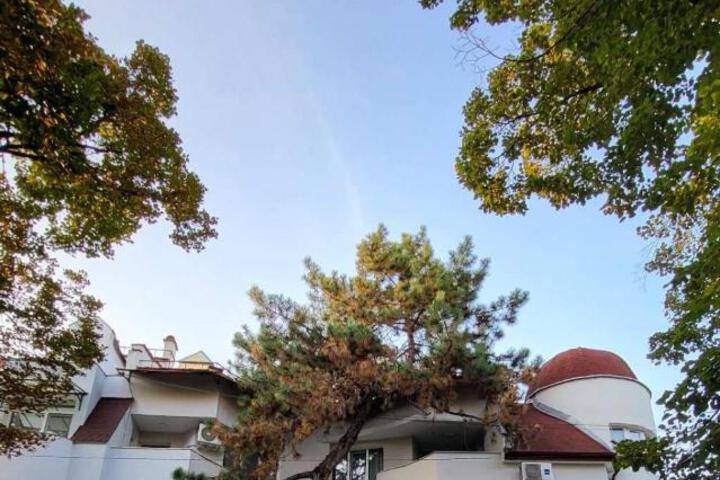Vida Family Hotel -Top Central Location