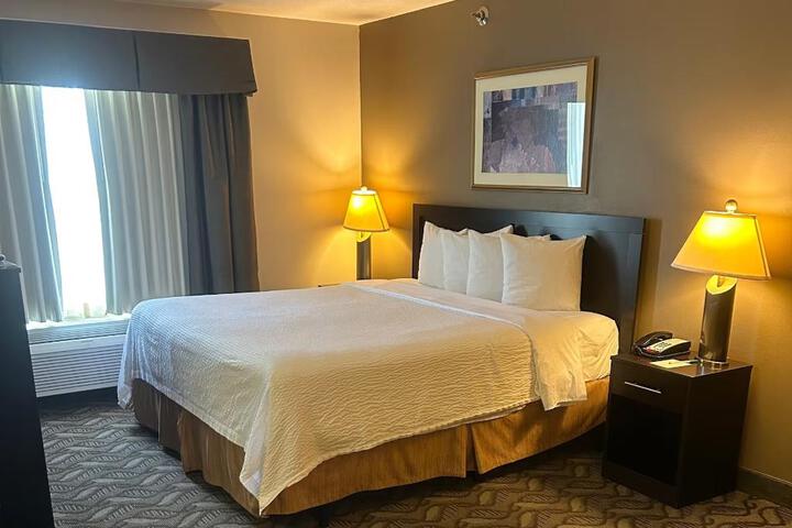 Queen Bed Accessible (7 of 10)