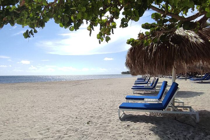 Beach 243 of 259