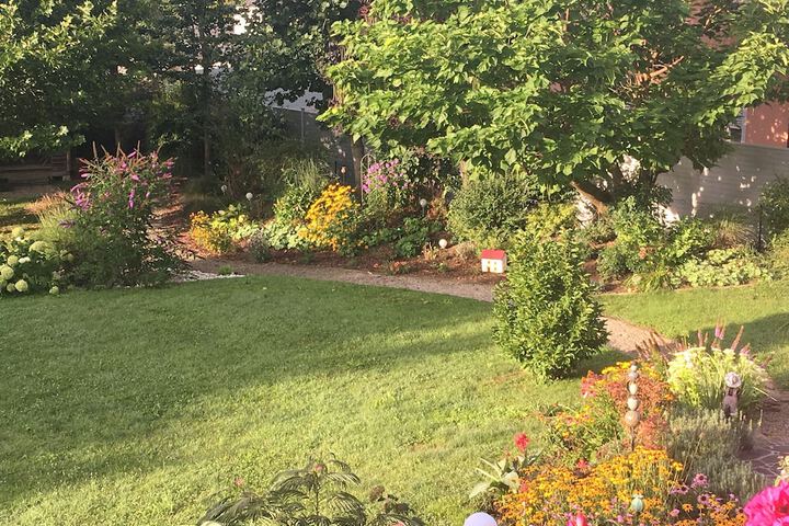 View from room
