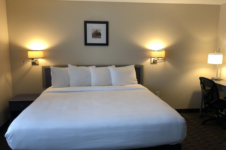Standard King Bed Accessible (16 of 18)
