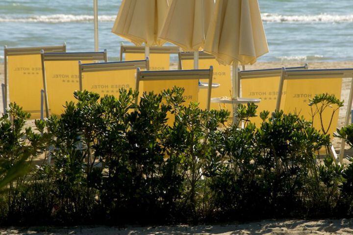 Beach 24 of 32