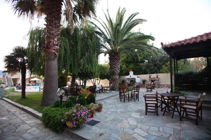Photo 11