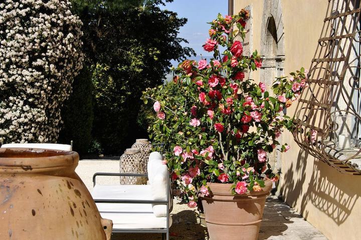 Terrace/Patio 102 of 123