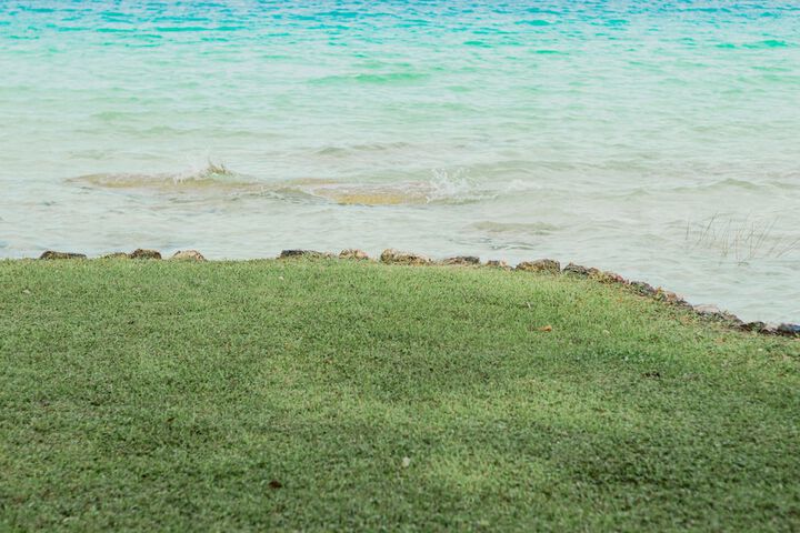 Beach 31 of 48
