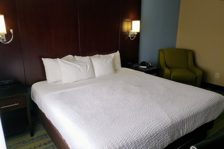 1 King Bed (6 of 50)
